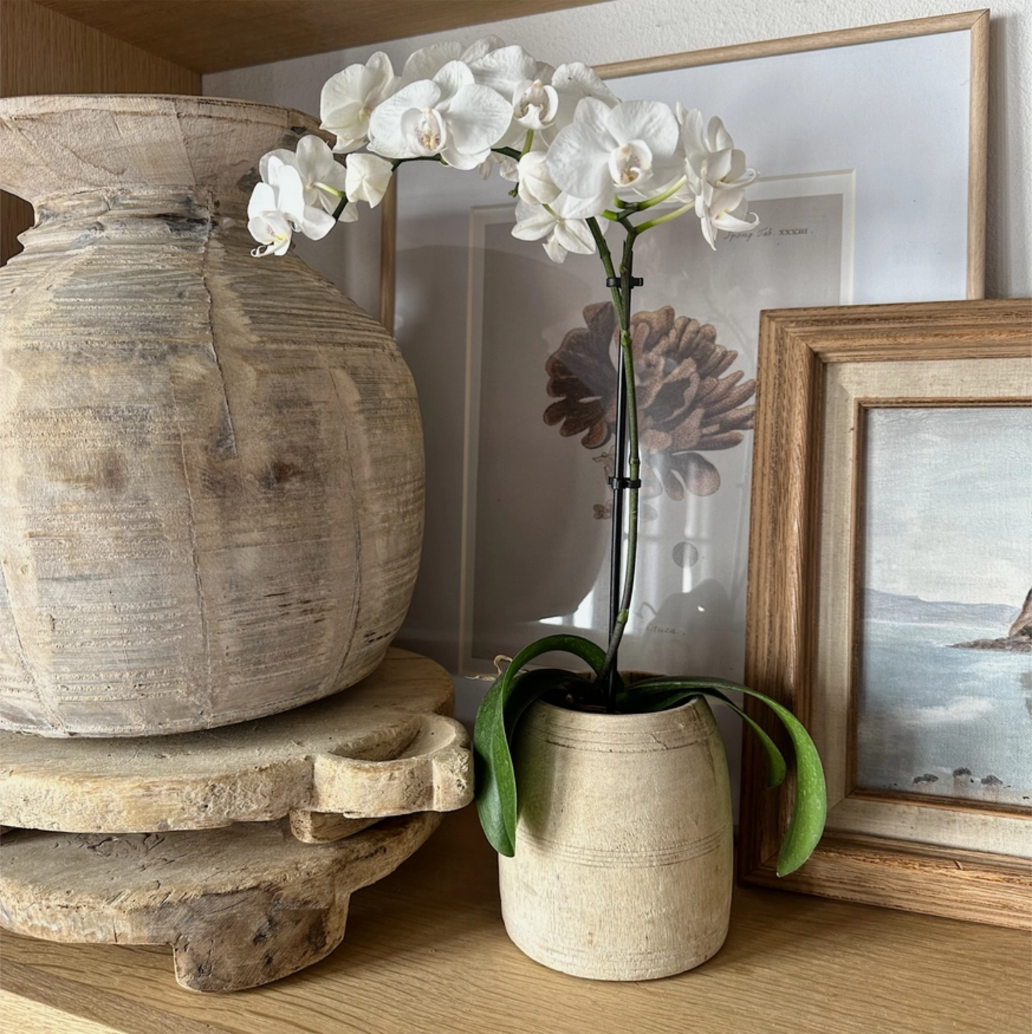 Antique Wooden Honey Pot - Vessel Bleached